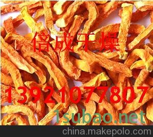 香葱大蒜片烘干机  香葱大蒜片干燥机  带式干燥机图2