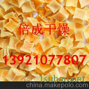 香葱大蒜片烘干机  香葱大蒜片干燥机  带式干燥机图4