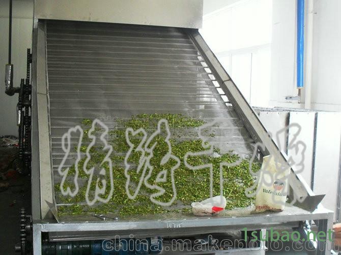 专业生产优质DWC系列脱水蔬菜带式干燥机图2