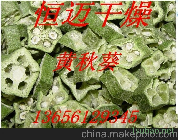 烘干机，黄菊花，茉莉花专用大型全自动带式烘干机图2