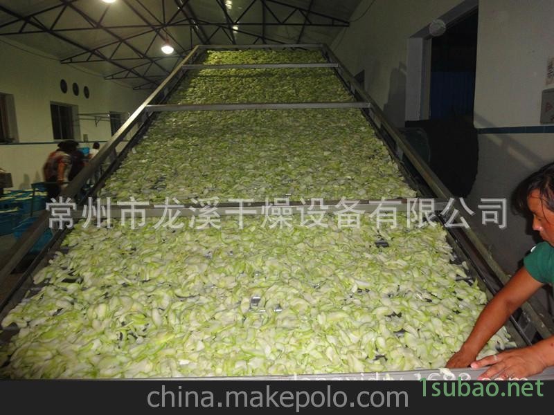 龙溪干燥供应：洋葱网带式干燥机图3
