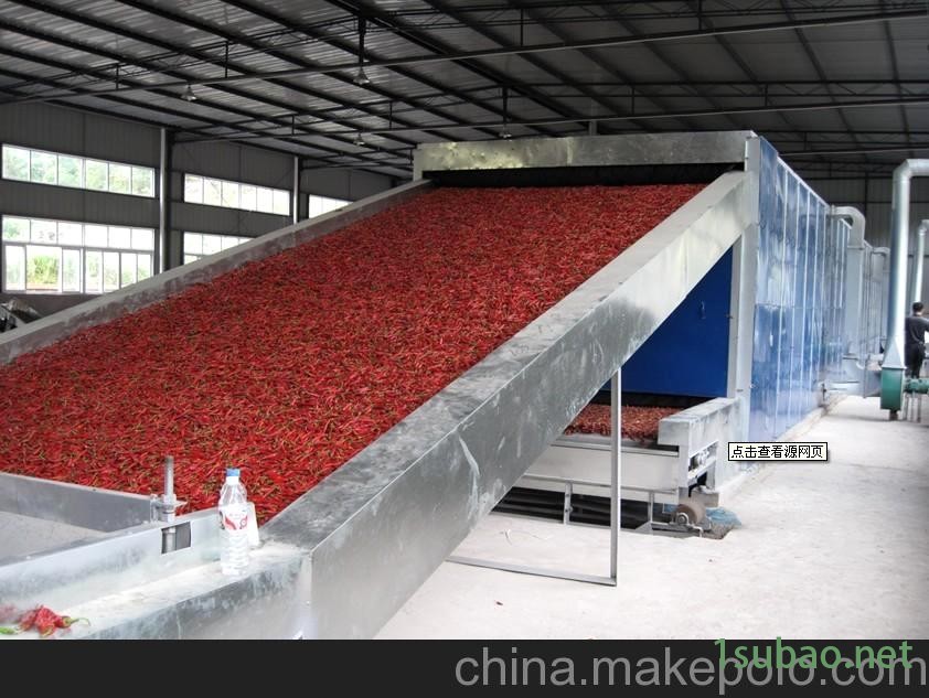 DW食品蔬菜多层带式干燥机图4