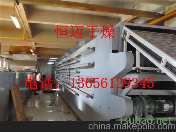 恒迈供应土豆片专用DW系列带式干燥机图3