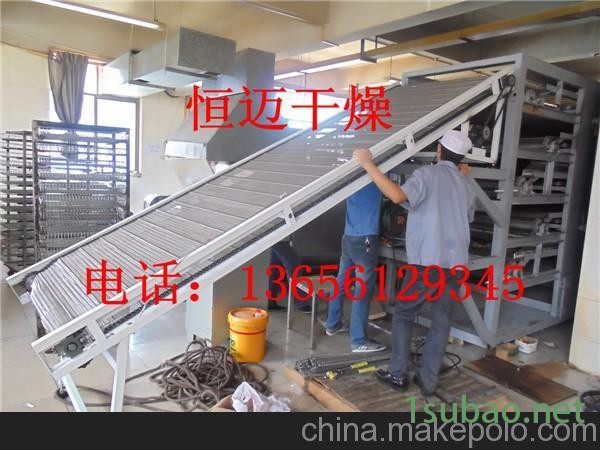 恒迈供应土豆片专用DW系列带式干燥机图2