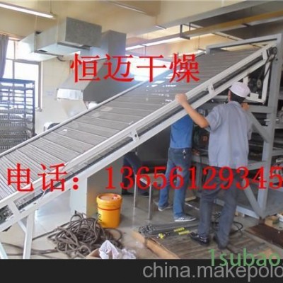 供应土豆片专用DW系列带式干燥机