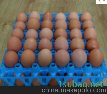 订制各类型蛋托模具 蛋托塑料模具图2