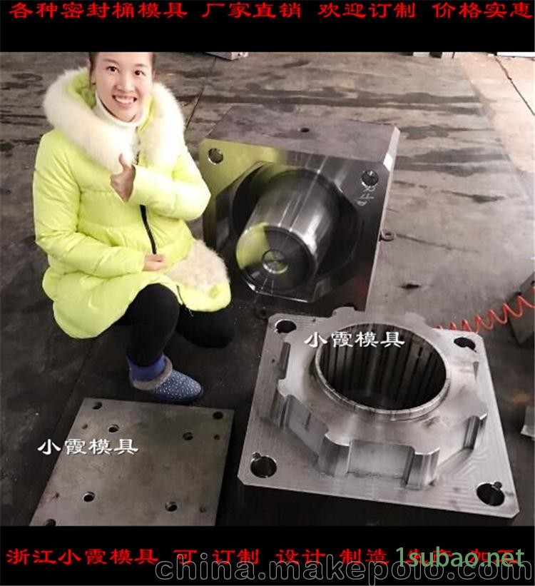浙江塑料模具定做 乳胶桶模具图2