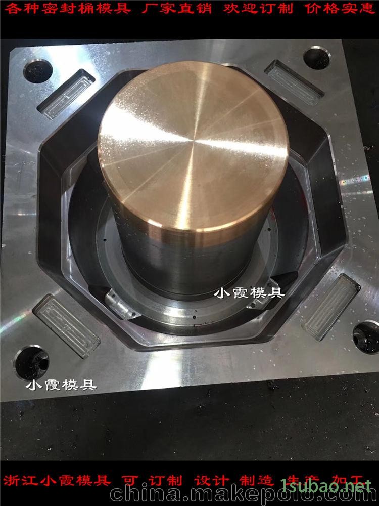 浙江塑料模具定做 乳胶桶模具图3