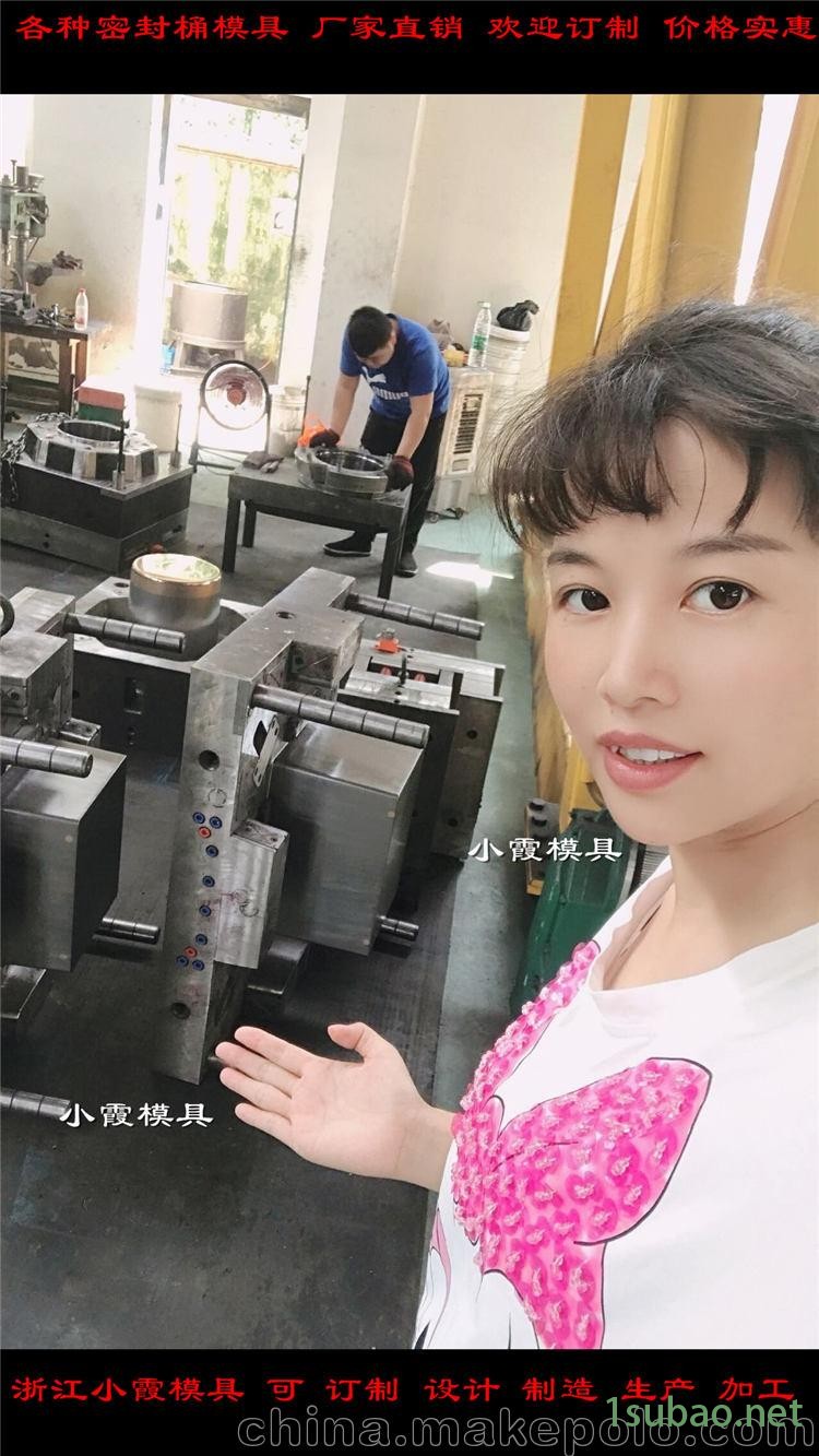 塑胶模具供应新款中石化塑胶桶模具图4