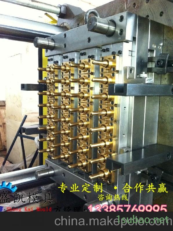 一出32 瓶胚模具  气封瓶坯模具 针阀管坯模具图3