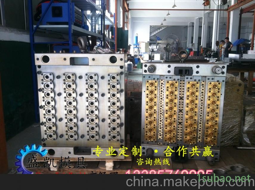 一出32 瓶胚模具  气封瓶坯模具 针阀管坯模具图2