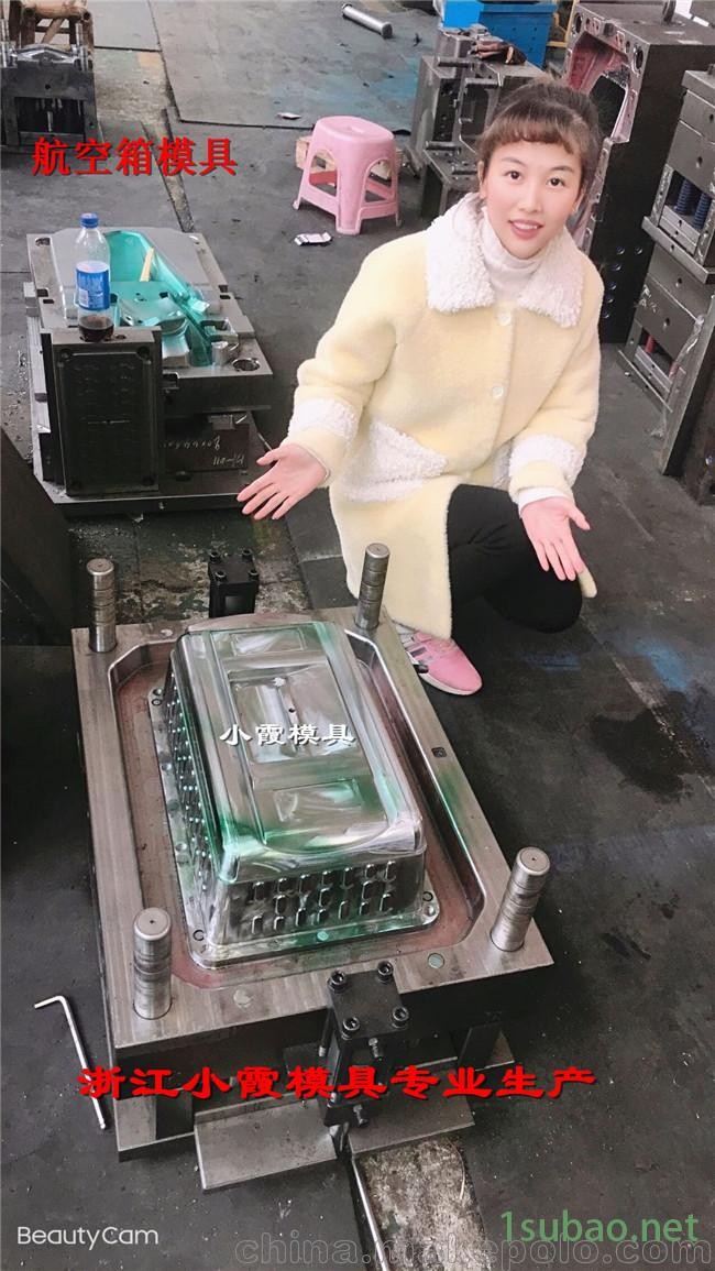 托运箱注塑模具商家 动物屋注塑模具浙江塑料模具厂图4