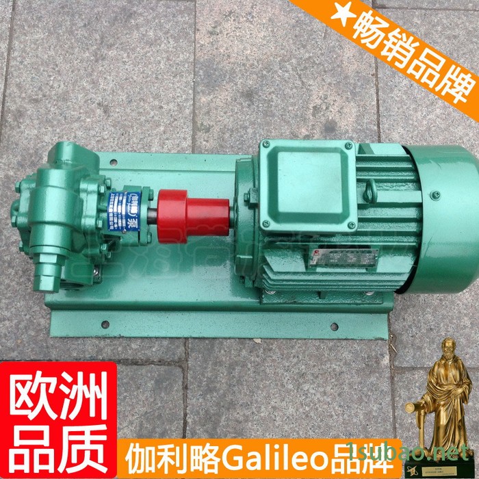 齿轮泵公司 驱动齿轮泵 注塑机齿轮油泵 汉图5