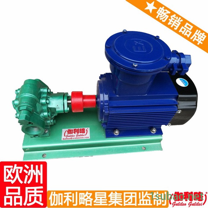 齿轮泵公司 驱动齿轮泵 注塑机齿轮油泵 汉图8