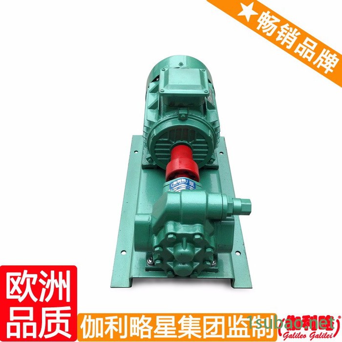 齿轮泵公司 驱动齿轮泵 注塑机齿轮油泵 汉图3