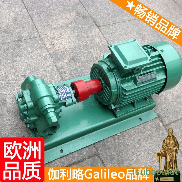 齿轮泵公司 驱动齿轮泵 注塑机齿轮油泵 汉图6