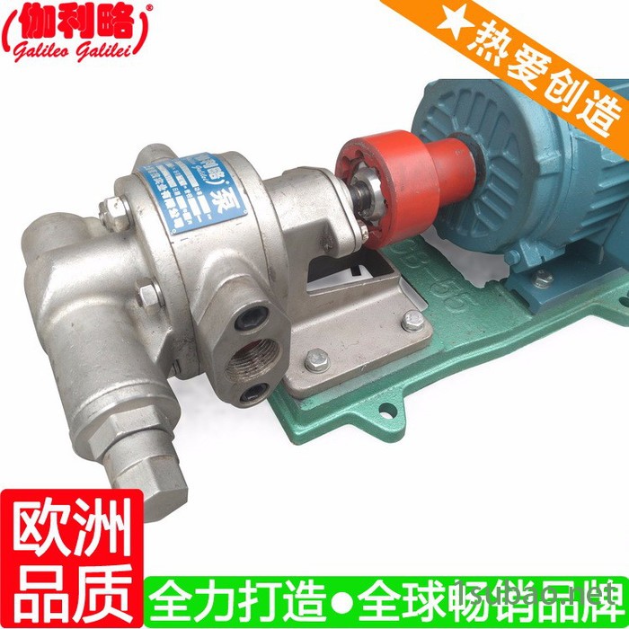 上海注塑机齿轮油泵 上海直齿内啮合齿轮泵 伽贰图2