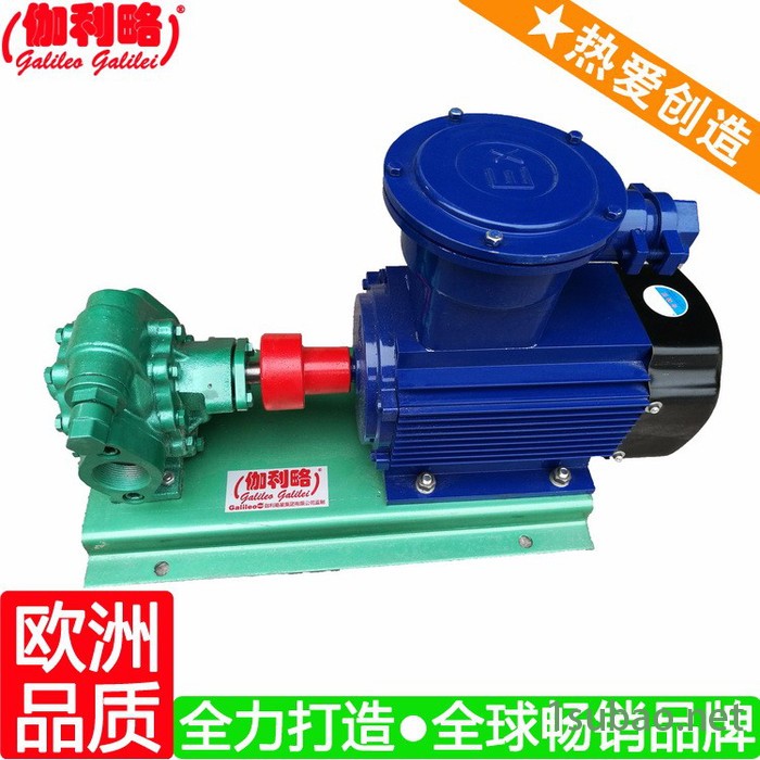 上海注塑机齿轮油泵 上海直齿内啮合齿轮泵 伽贰图5