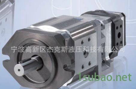 德国ECKERLE艾可勒内齿轮泵，注塑机专用艾可勒伺服油泵图2