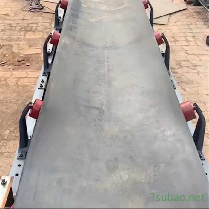 皮带输送机 小型传送带注塑机 输送线传送带机图2