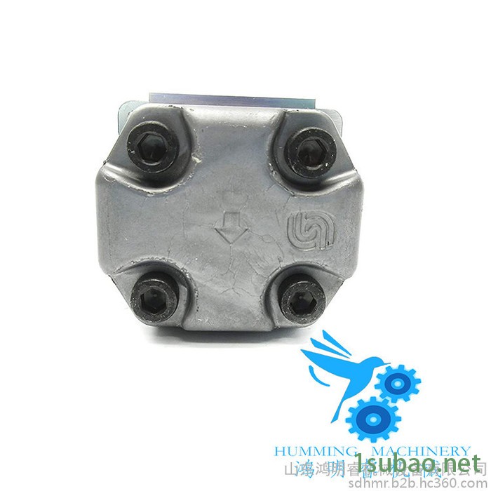 注塑机进口齿轮油泵Danfoss萨奥丹佛现货生产厂家直供SNP1NN/3.8LN01BAP1C2C2山东进口齿轮泵图2
