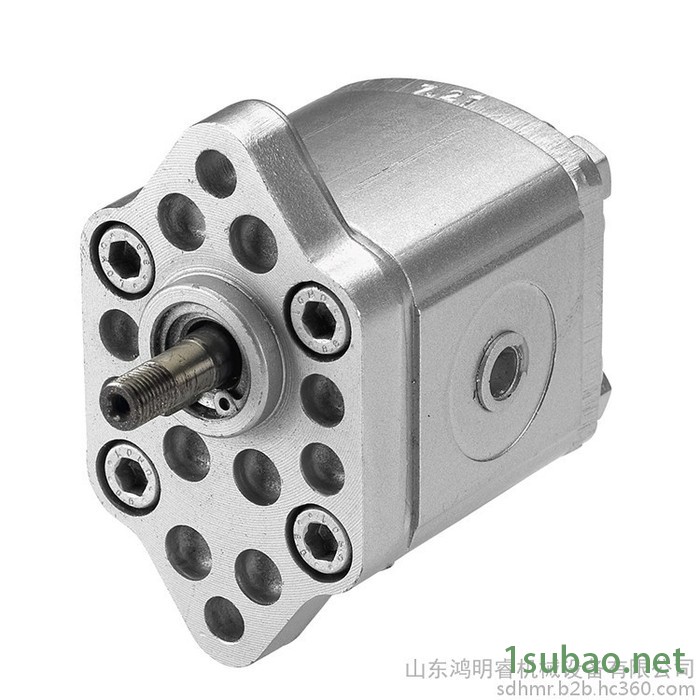 丹佛斯 TUROLLA 齿轮泵工厂直供 齿轮油泵 原装进口齿轮泵 注塑机齿轮泵 现货图6