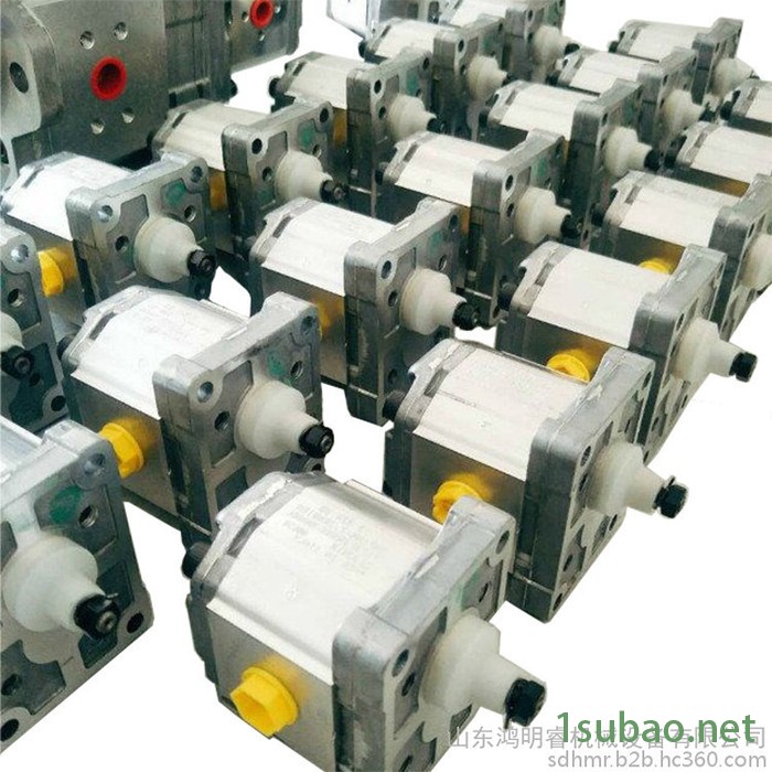 丹佛斯 TUROLLA 齿轮泵工厂直供 齿轮油泵 原装进口齿轮泵 注塑机齿轮泵 现货图7