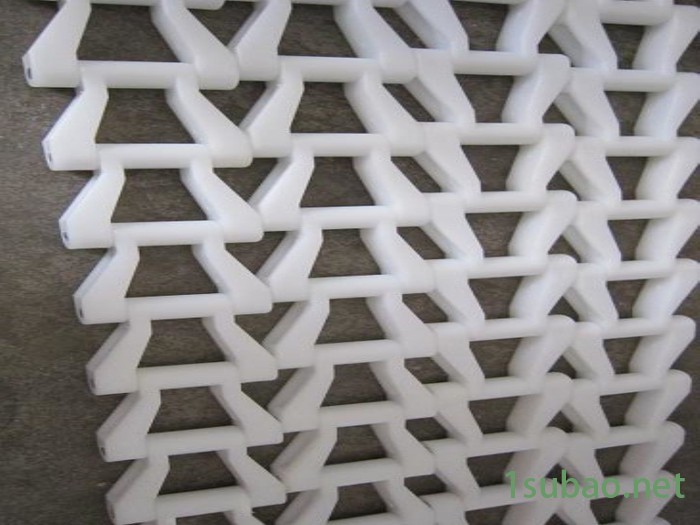 供应胜耀sy66.3发泡机塑料链条 塑料链条图3