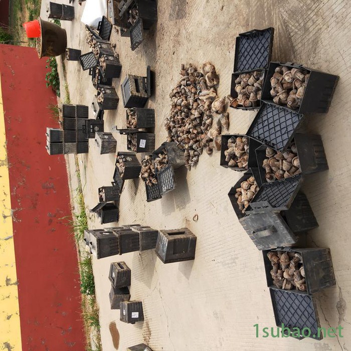 批发邯郸开沟机刀头 盘式开槽机合金齿 水泥路打沟机刀具图5
