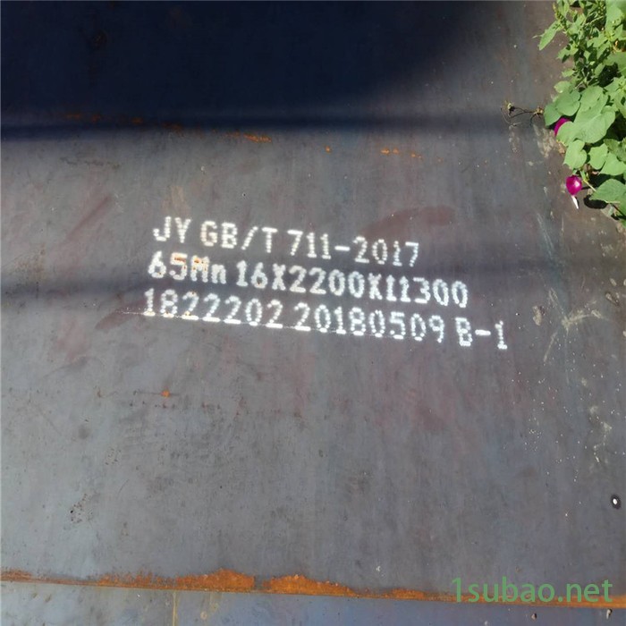 现货60si2mn汽车用弹簧钢板 60si2mn刀具钢板 扁钢 规格齐全 零售图4