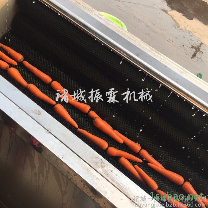 毛辊长1000清洗机 毛刷式胡萝卜清洗抛光机厂家 价格图4