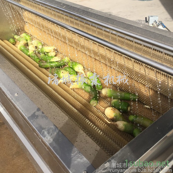 毛辊长1000清洗机 毛刷式胡萝卜清洗抛光机厂家 价格图2