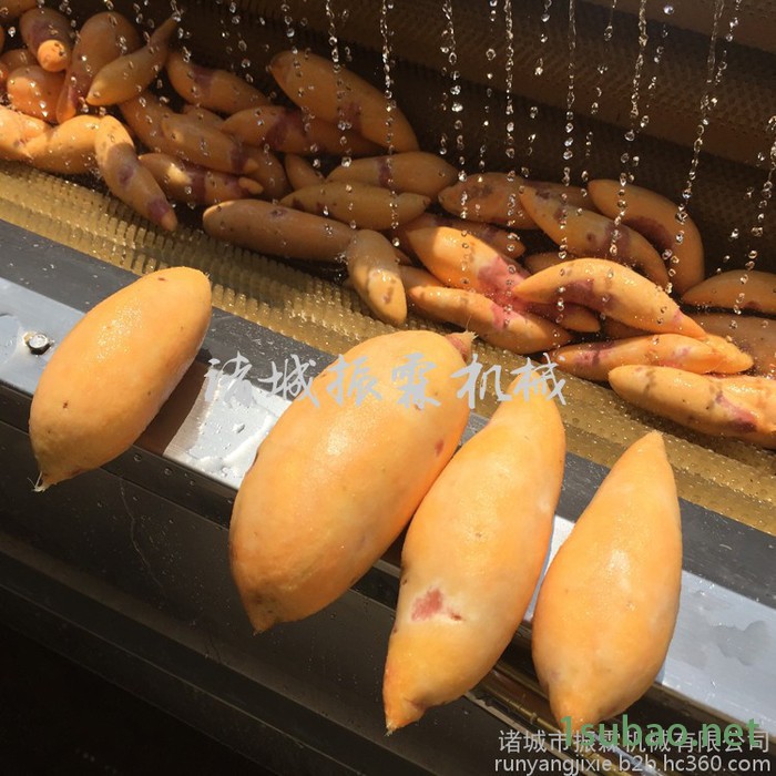 毛辊长1000清洗机 毛刷式胡萝卜清洗抛光机厂家 价格图5