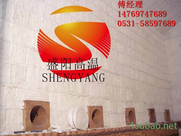 济南盛阳   SYGX 289工业炉窑 隧道窑吊顶保温用陶瓷纤维模块 高铝型陶瓷纤维毯图8
