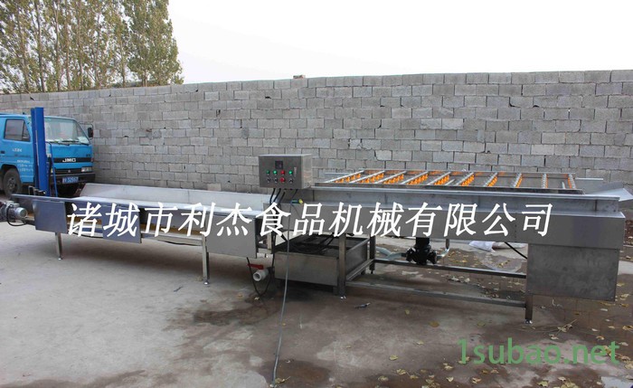 直销柚子清洗机 橙子清洗机 果蔬清洗抛光机 山东清洗设备图2