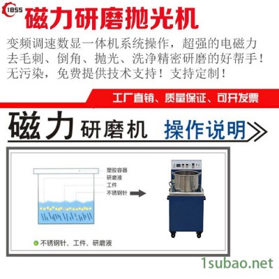 苏州一八五五P980型精密去毛刺机 磁力抛光机设备