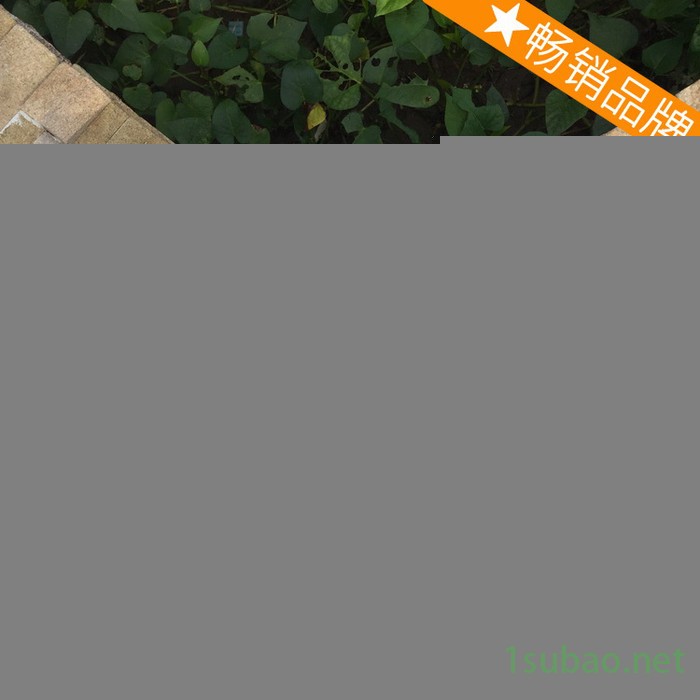 六面真空包装机包装机械连续真空封口机粮食图4