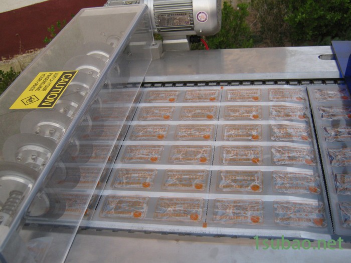 供应全自动连续真空包装机 DLZ420充气式连续封口机图7