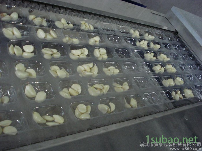 诸城舜康DLZ520软烤鱼块拉伸膜真空包装机真空机封口机图3