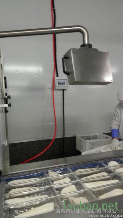 诸城舜康DLZ520软烤鱼块拉伸膜真空包装机真空机封口机图4