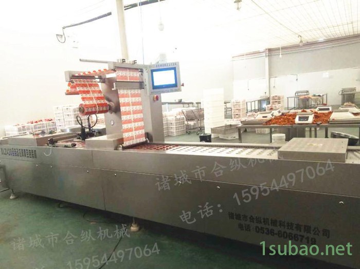 狮子头全自动真空封口机 丸子全自动真空包装机 乡巴佬真空机图3