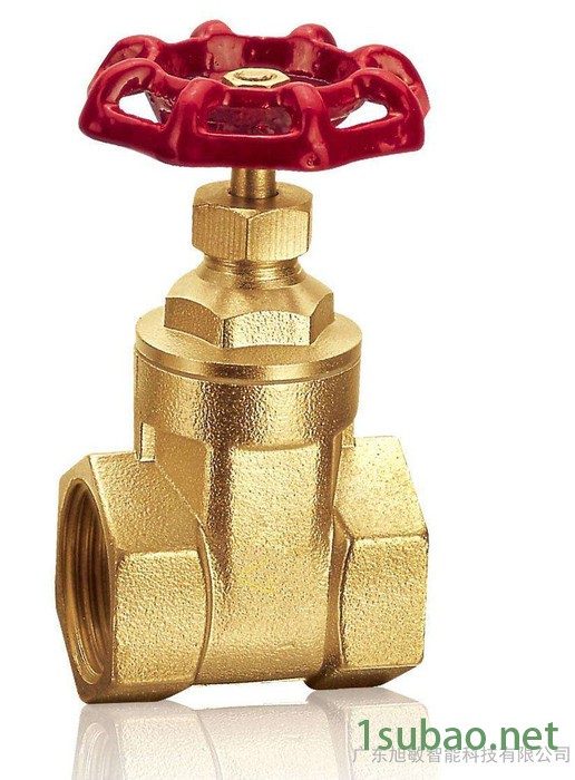 Amico/埃美柯 铜闸阀图2