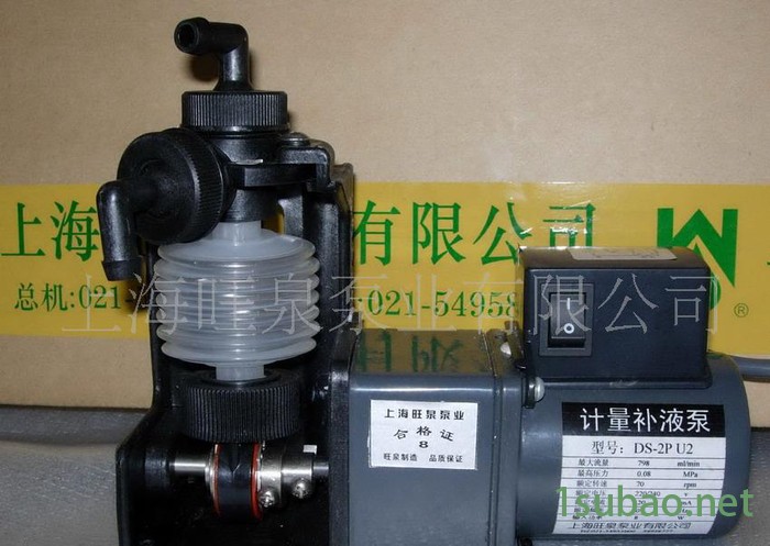 A上海旺泉DZ,DS波纹管药液计量泵、微型计量泵图2