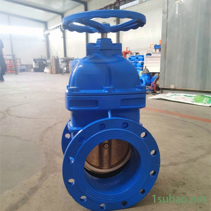 兴阀Z45T闸阀 人防用防护闸阀厂家 40-600型号齐全图2
