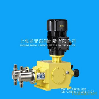 J-ZR6500柱塞式计量泵 1000 L/H计量泵