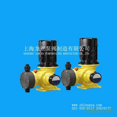 LGS2000/0.3型HNO3计量泵（隔膜计量泵）