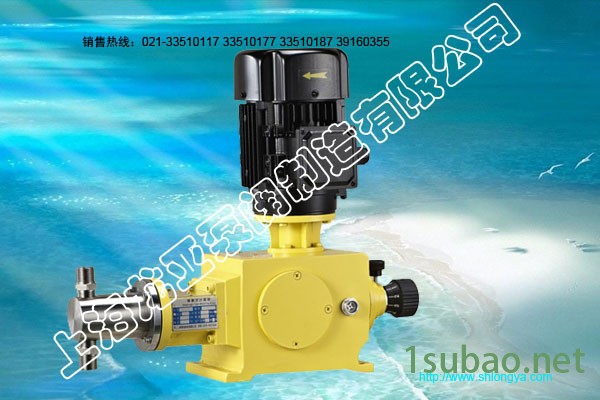 粘结剂投药计量泵 双缸型柱塞计量泵, 2J-XBb防爆保温计量泵图4