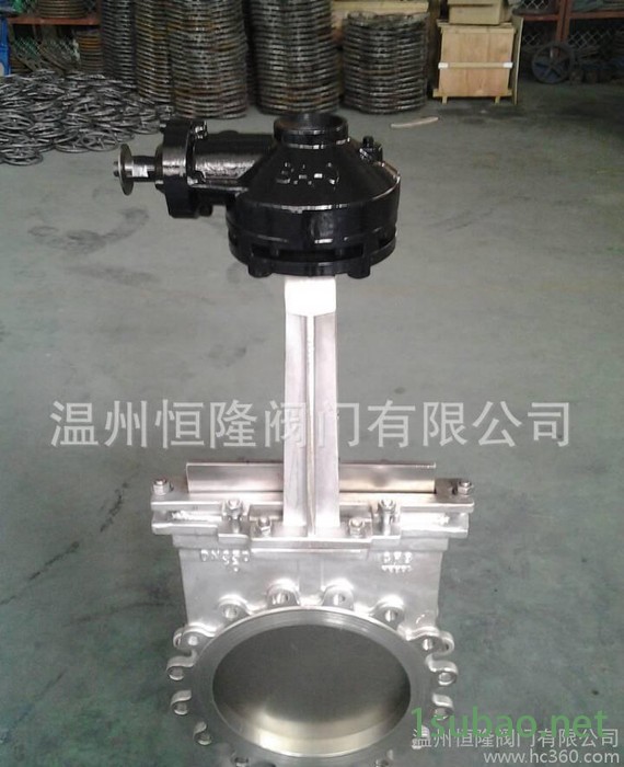 恒隆 PZ543X伞齿轮DN500刀型闸阀 304/316刀型闸阀图2