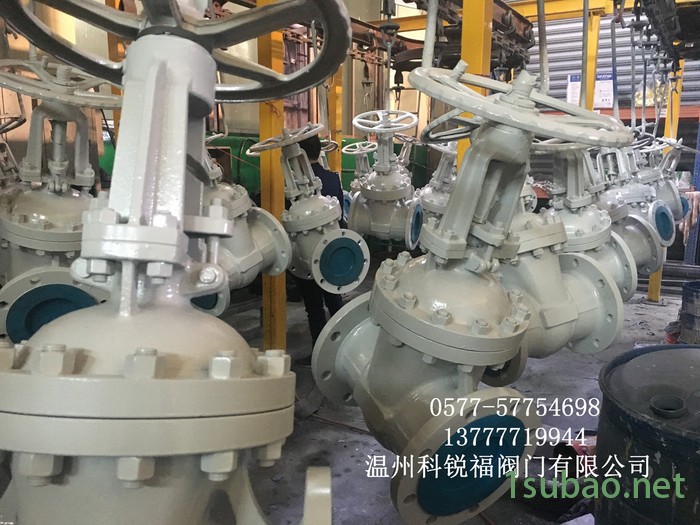 Z41H Z41Y 16/25 铸钢WCB 苏式重型闸阀 国标手动法兰闸阀 温州**图2