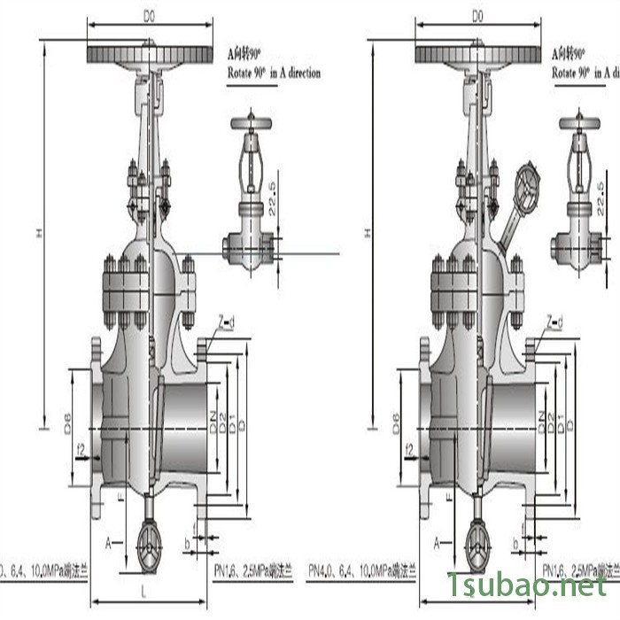 Z41Y 带吹扫口闸阀 Z1 Z2仿41Y带吹扫口闸阀图2